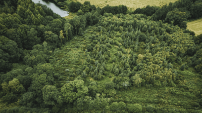 ATMI commits to forests with EcoTree