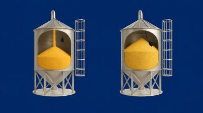 How to Choose the Right Level Sensor for Solids for Your Silo?