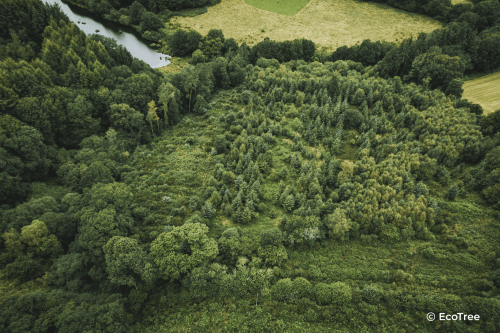 ATMI commits to forests with EcoTree